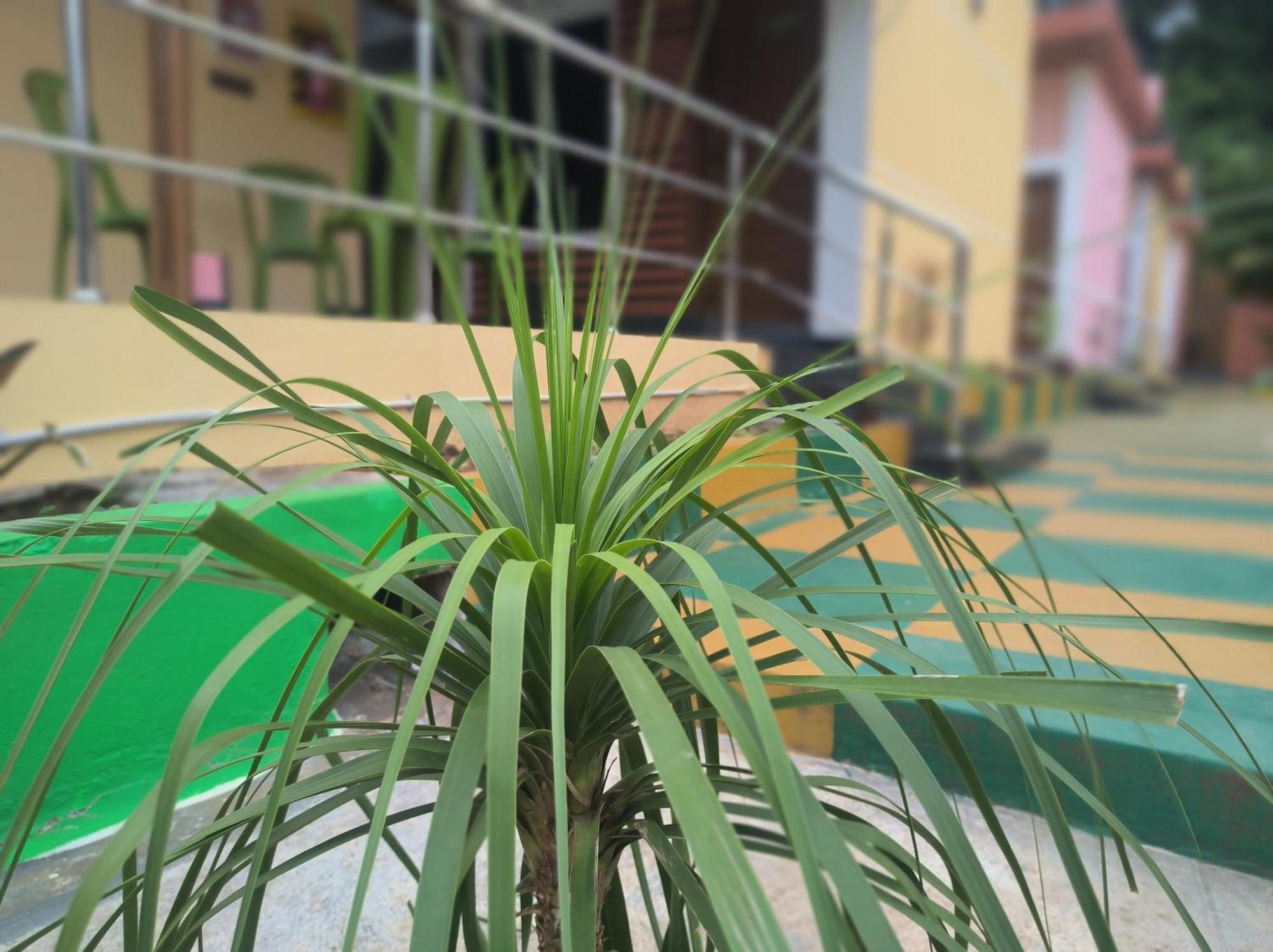 Kanna Garden By Bodhi Bungalows Колли-Хиллс Экстерьер фото